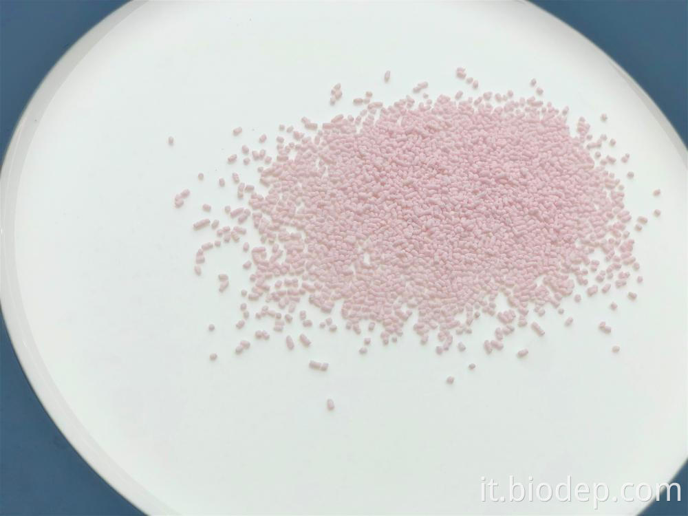 Lactobacillus Bulgaricus